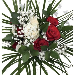 Red and White Roses