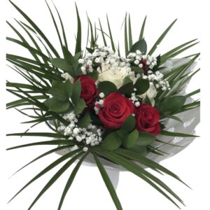 Red and White Roses